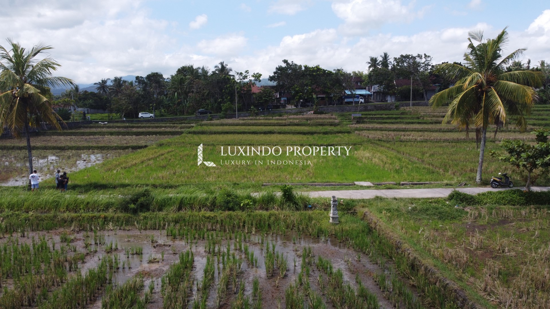 MEDEWI – OCEAN AND RICEFIELD VIEW LAND FOR FREEHOLD SALE (FHL301) 